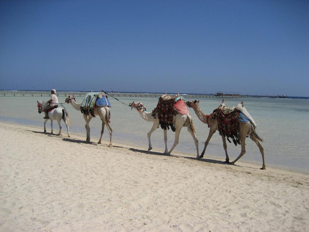 Bliss Abo Nawas Resort Marsa Alam Exterior foto